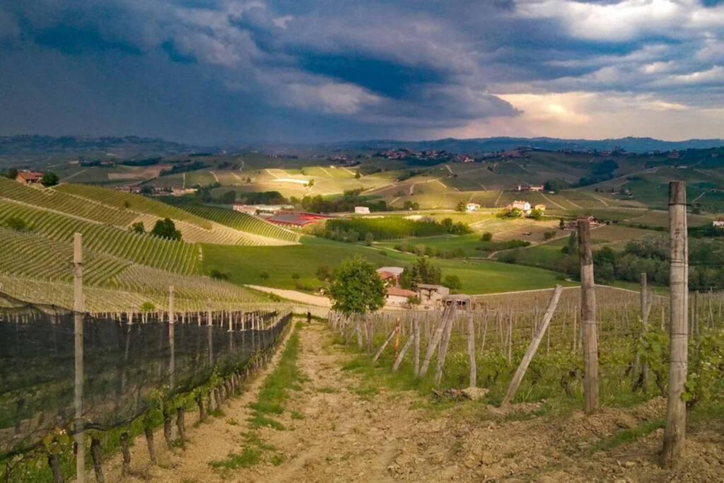 Ex Ostu Impero: vino, tartufo ed ospitalità La Morra Exterior foto