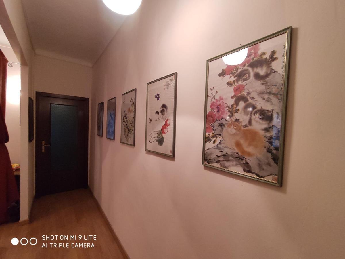 Ex Ostu Impero: vino, tartufo ed ospitalità La Morra Exterior foto